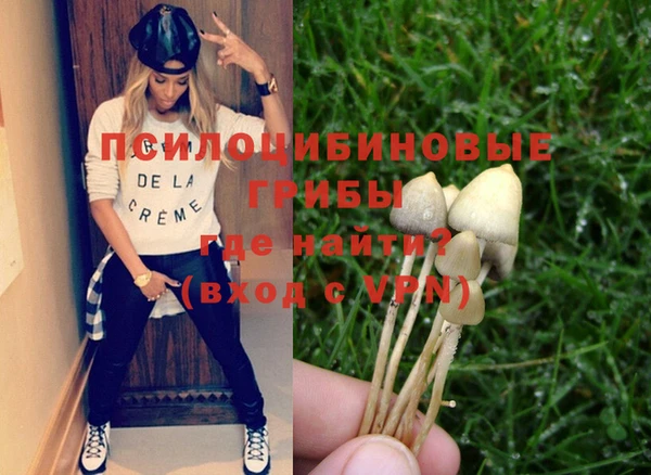 apvp Михайлов