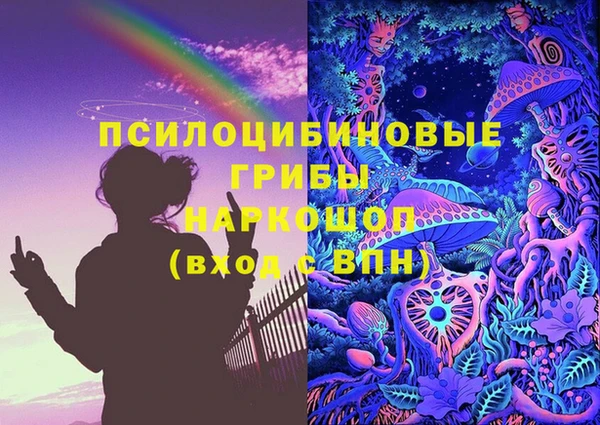 apvp Михайлов