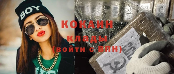 apvp Михайлов