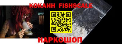 гидропоника Камышлов