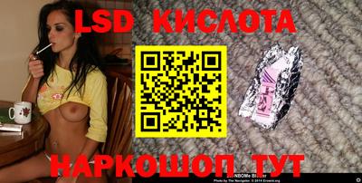 гидропоника Камышлов