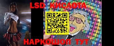 гидропоника Камышлов