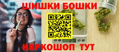 гидропоника Камышлов