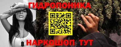 гидропоника Камышлов