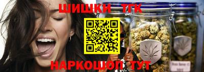 гидропоника Камышлов