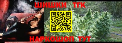 гидропоника Камышлов