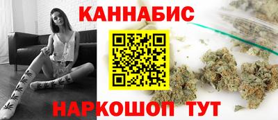 гидропоника Камышлов