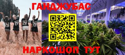 гидропоника Камышлов
