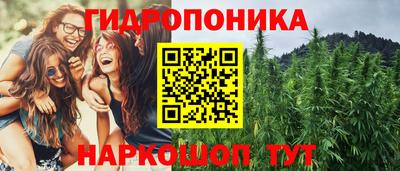 прущий лед Канаш