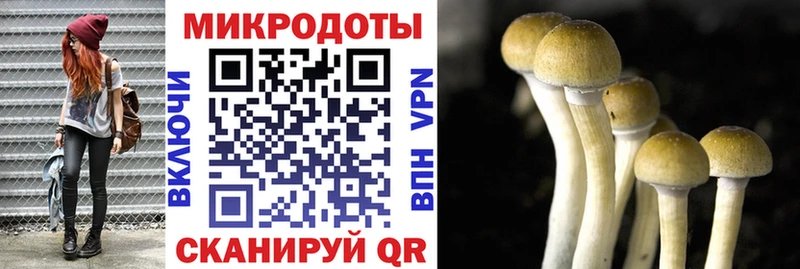 Галлюциногенные грибы GOLDEN TEACHER Обь