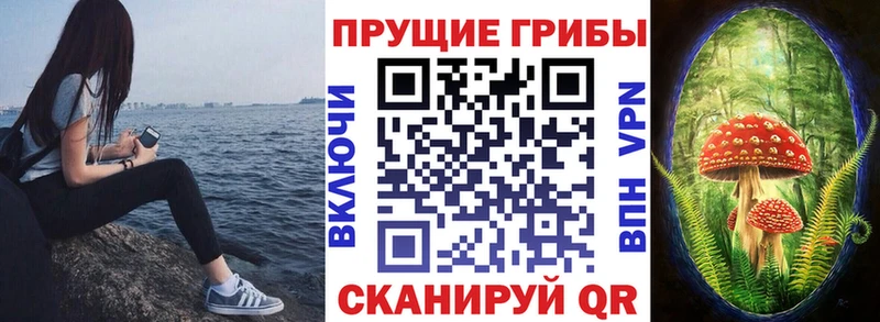 Галлюциногенные грибы Cubensis  Обь 