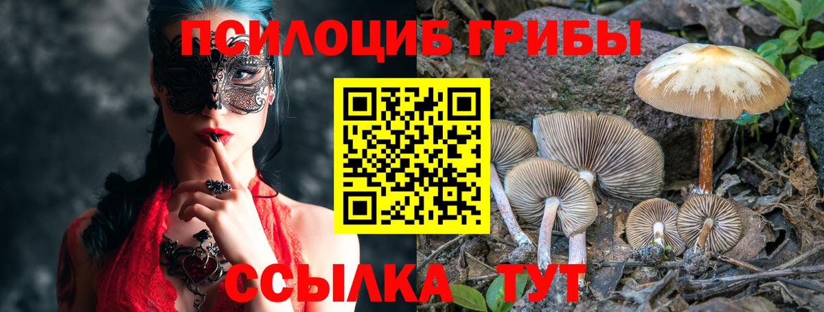 Галлюциногенные грибы MAGIC MUSHROOMS  Вход с VPN  Псилоцибиновые грибы Psilocybine cubensis  купить наркоту  Обь 
