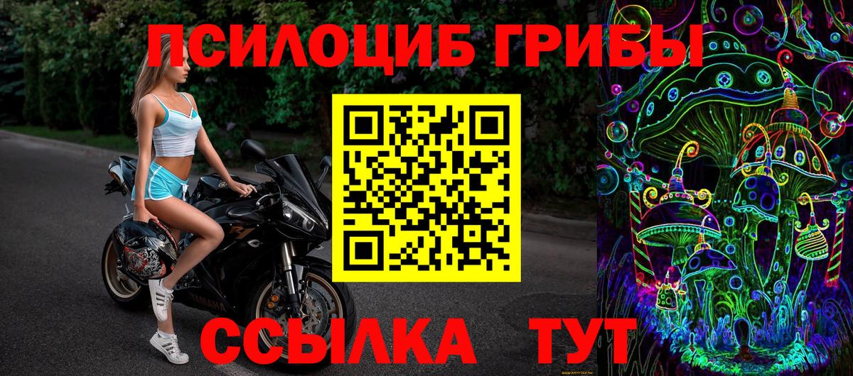 Галлюциногенные грибы мицелий Обь